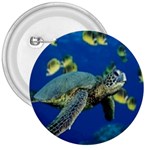 sea turtle 3  Button