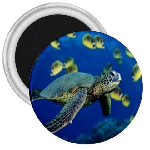 sea turtle 3  Magnet from UrbanLoad.com Front
