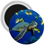 sea turtle 3  Magnet