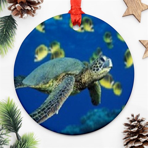 sea turtle Ornament (Round) from UrbanLoad.com Front