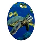 sea turtle Ornament (Oval)