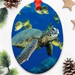 sea turtle Ornament (Oval)