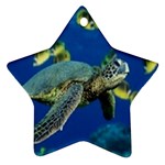 sea turtle Ornament (Star)