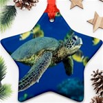 sea turtle Ornament (Star)