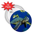 sea turtle 2.25  Button (10 pack)