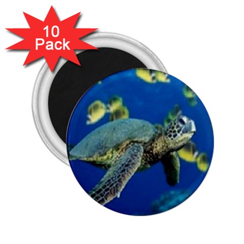 sea turtle 2.25  Magnet (10 pack) from UrbanLoad.com Front