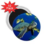 sea turtle 2.25  Magnet (10 pack)