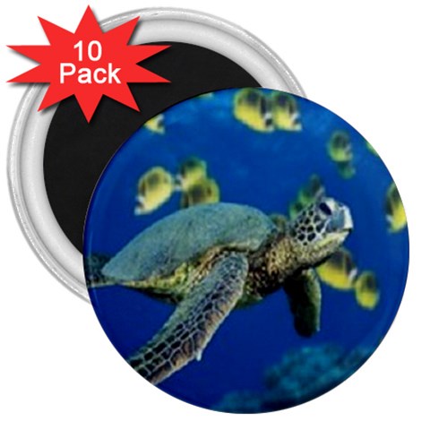 sea turtle 3  Magnet (10 pack) from UrbanLoad.com Front