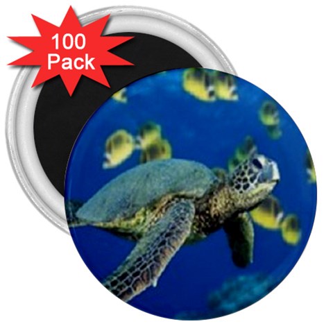 sea turtle 3  Magnet (100 pack) from UrbanLoad.com Front