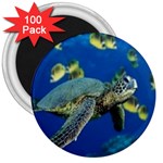 sea turtle 3  Magnet (100 pack)