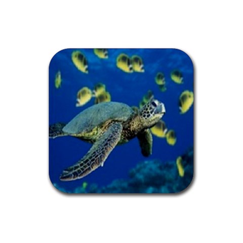 sea turtle Rubber Coaster (Square) from UrbanLoad.com Front