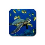 sea turtle Rubber Coaster (Square)