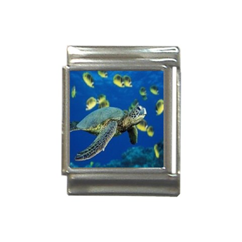 sea turtle Italian Charm (13mm) from UrbanLoad.com Front