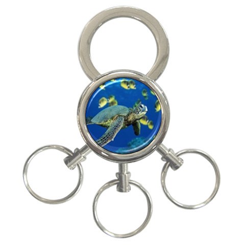 sea turtle 3 Front