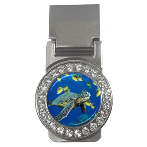 sea turtle Money Clip (CZ) from UrbanLoad.com Front