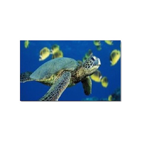 sea turtle Sticker (Rectangular) from UrbanLoad.com Front