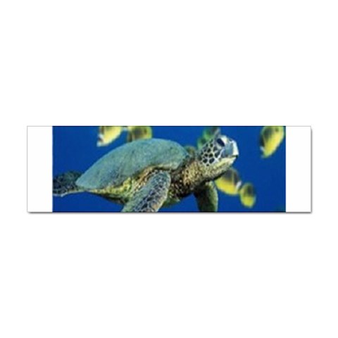 sea turtle Sticker (Bumper) from UrbanLoad.com Front