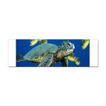 sea turtle Sticker (Bumper)