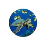 sea turtle Magnet 3  (Round)