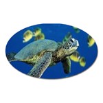 sea turtle Magnet (Oval)