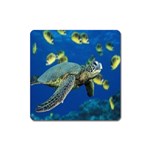 sea turtle Magnet (Square)