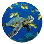 sea turtle Magnet 5  (Round)