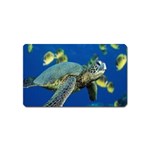 sea turtle Magnet (Name Card)