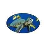 sea turtle Sticker Oval (10 pack)