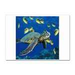 sea turtle Sticker A4 (10 pack)