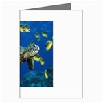 sea turtle Greeting Card