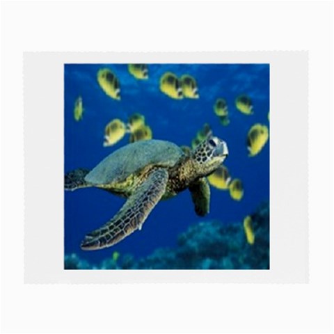 sea turtle Glasses Cloth (Small) from UrbanLoad.com Front