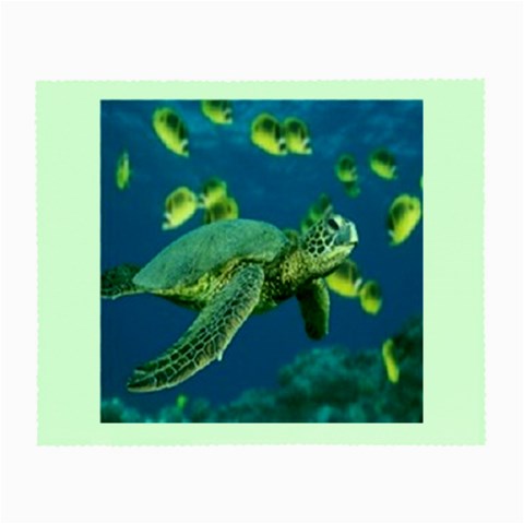 sea turtle Glasses Cloth (Small) from UrbanLoad.com Front