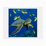 sea turtle Glasses Cloth (Small)