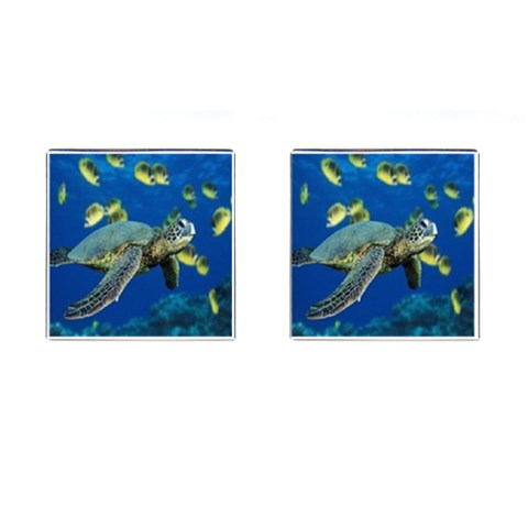 sea turtle Cufflinks (Square) from UrbanLoad.com Front(Pair)