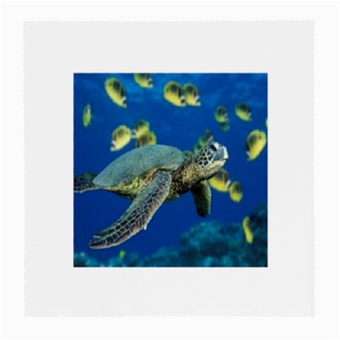 sea turtle Glasses Cloth (Medium) from UrbanLoad.com Front