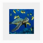 sea turtle Glasses Cloth (Medium)