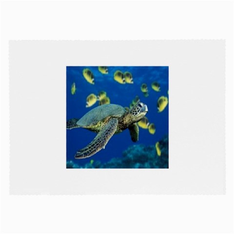 sea turtle Glasses Cloth (Large) from UrbanLoad.com Front