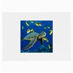 sea turtle Glasses Cloth (Large)