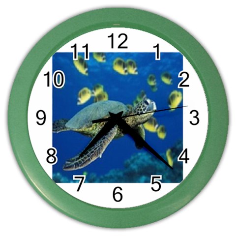 sea turtle Color Wall Clock from UrbanLoad.com Front