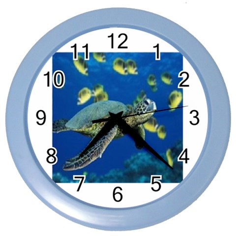 sea turtle Color Wall Clock from UrbanLoad.com Front