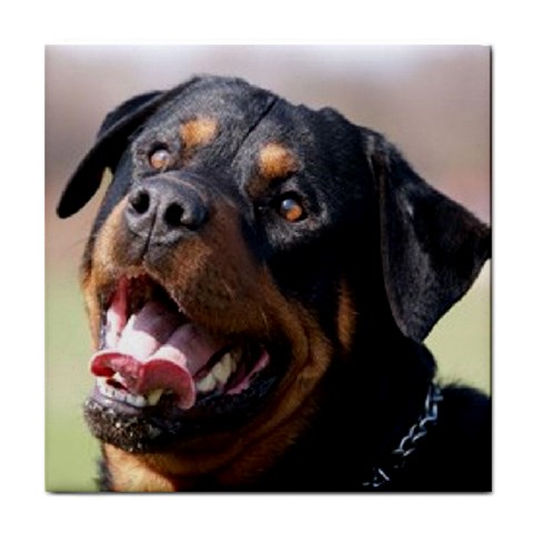 rottweiler Tile Coaster from UrbanLoad.com Front