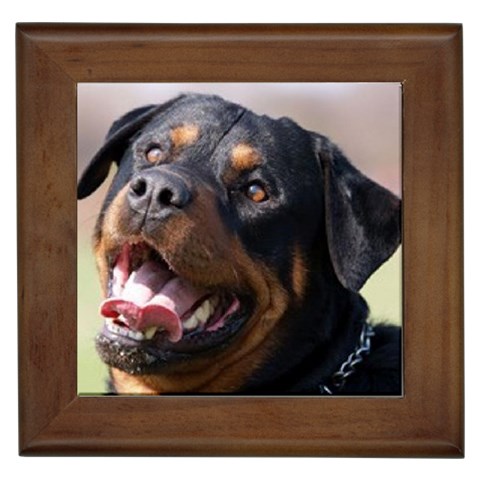 rottweiler Framed Tile from UrbanLoad.com Front