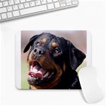 rottweiler Small Mousepad