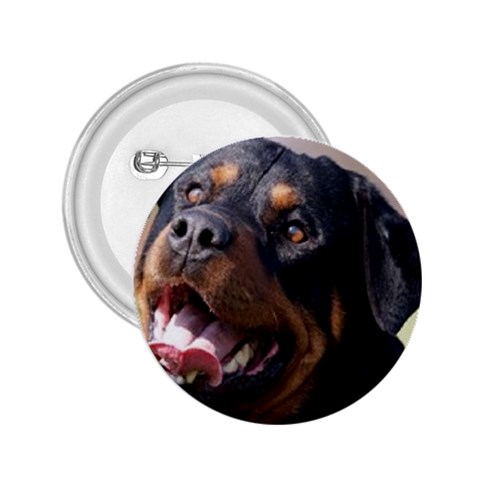 rottweiler 2.25  Button from UrbanLoad.com Front