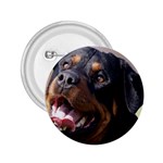 rottweiler 2.25  Button