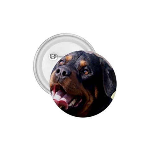 rottweiler 1.75  Button from UrbanLoad.com Front