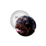 rottweiler 1.75  Button