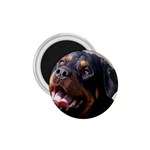 rottweiler 1.75  Magnet