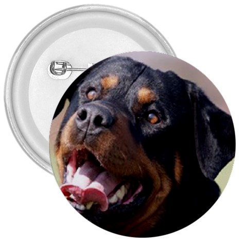 rottweiler 3  Button from UrbanLoad.com Front