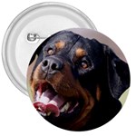 rottweiler 3  Button